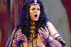 Sonja &Scaron;ari&cacute; Kosovac as Aida